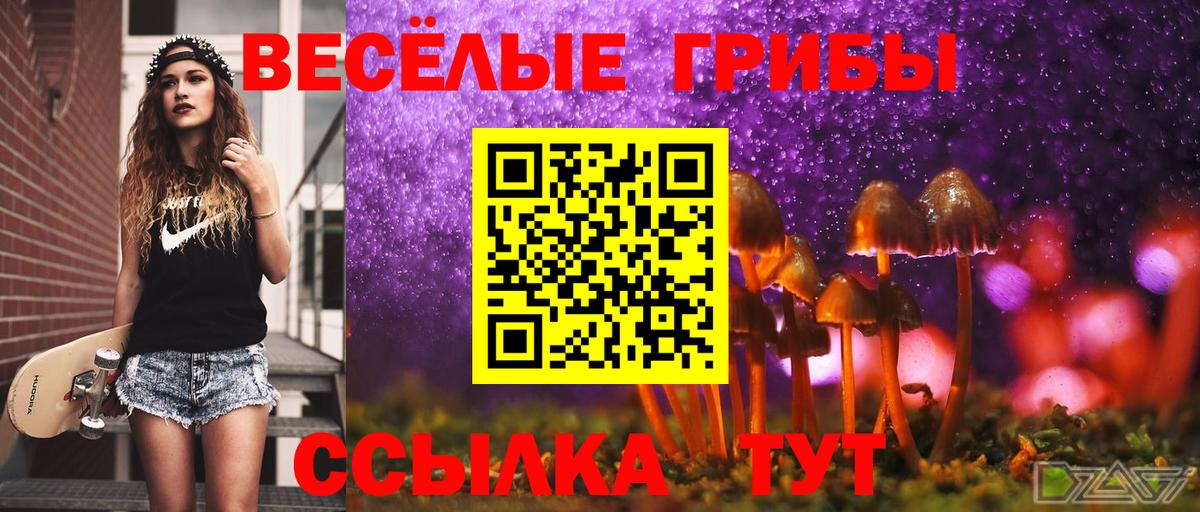 Псилоцибиновые грибы GOLDEN TEACHER Кулебаки