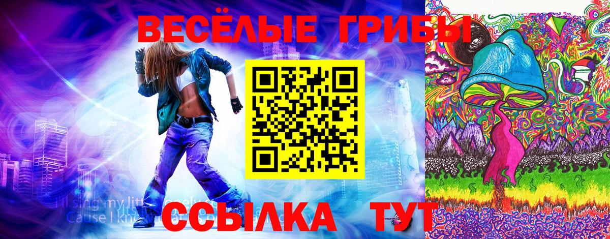 Кулебаки  Галлюциногенные грибы мухоморы  Вход с VPN  Псилоцибиновые грибы ЛСД 